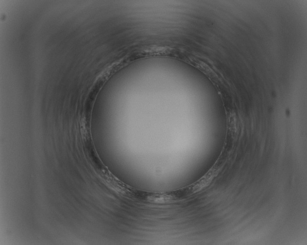 X0000074330564200608251023