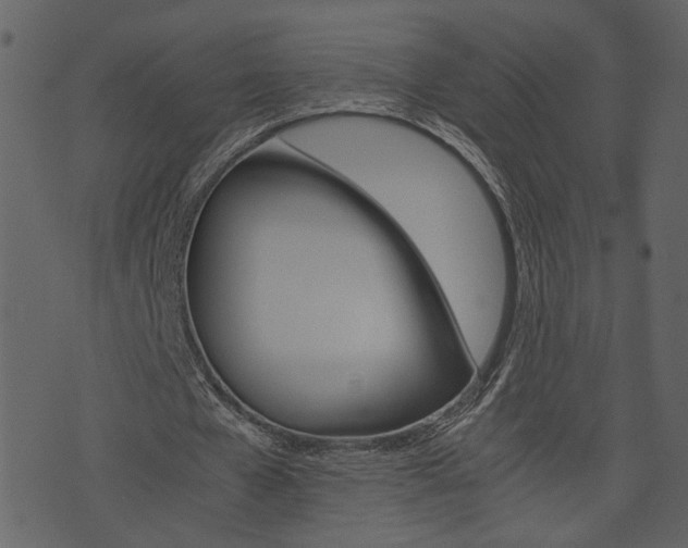 X0000074330577200608251022