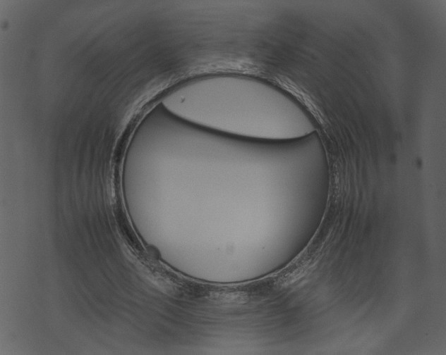 X0000074330582200608251022