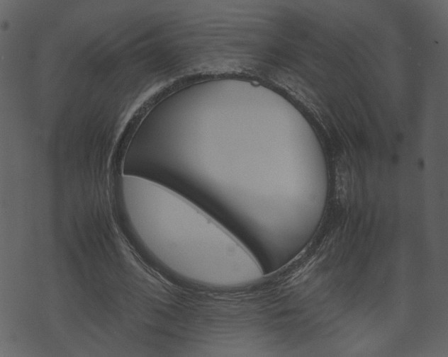 X0000074330584200608251022