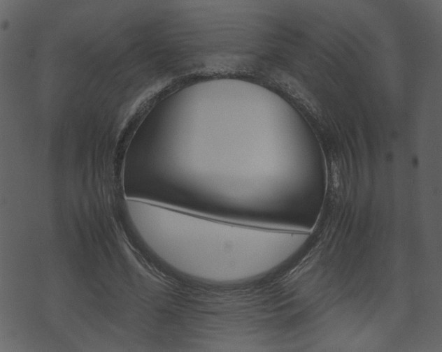 X0000074330588200608251022