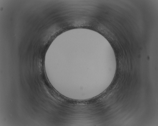 X0000074330592200608251022