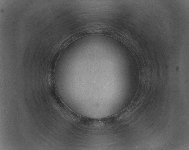 X0000074330600200608251022