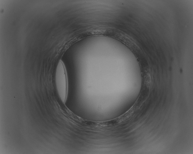 X0000074330604200608251022