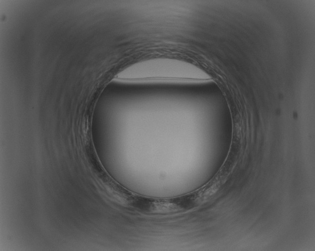 X0000074330605200608251022