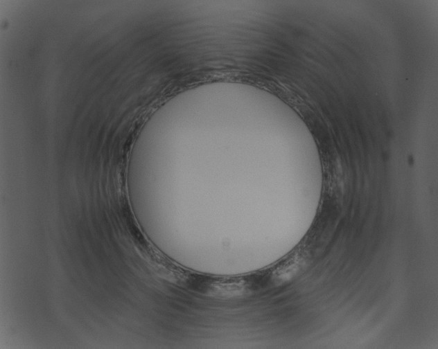 X0000074330606200608251022