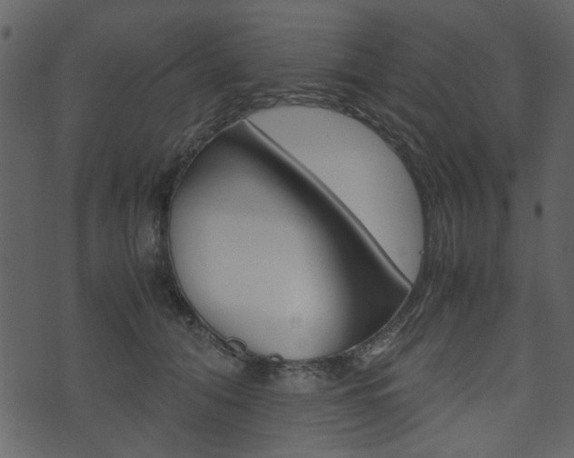 X0000074330608200608251022