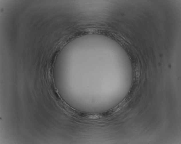 X0000074330611200608251022