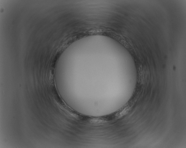 X0000074330614200608251022