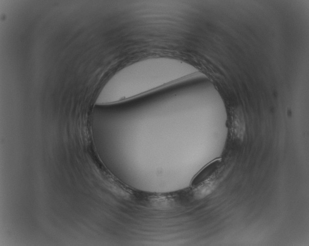 X0000074330616200608251022