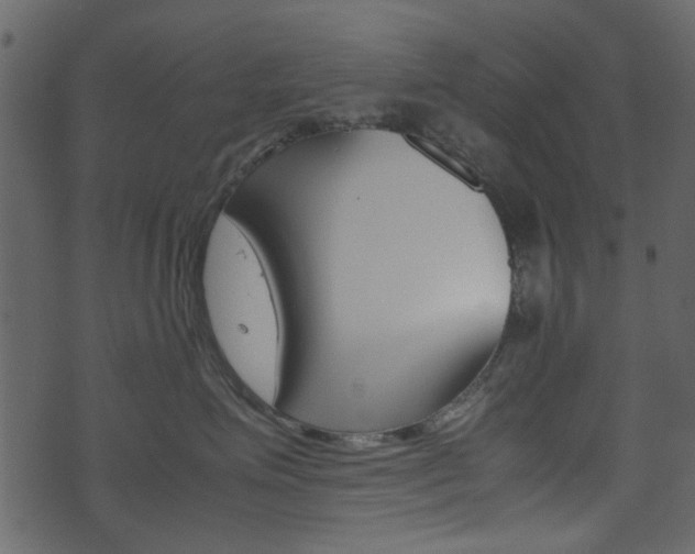 X0000074330623200608251022