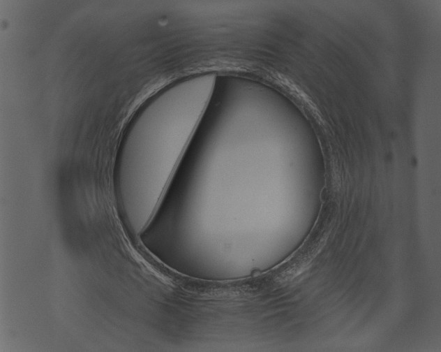 X0000074330625200608251021