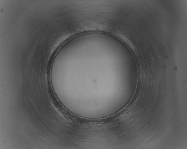 X0000074330626200608251021