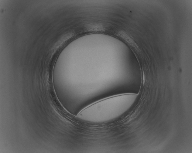 X0000074330627200608251021