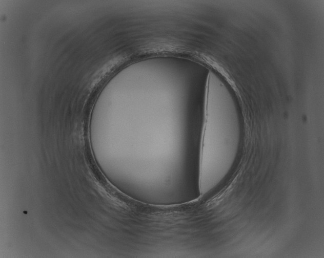 X0000074330629200608251021