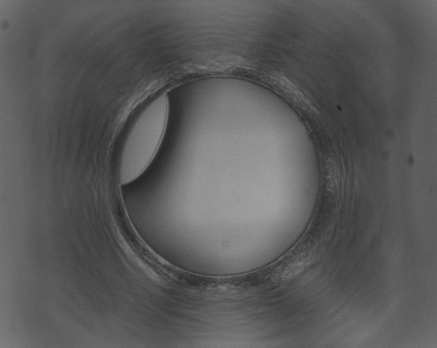 X0000074330634200608251021