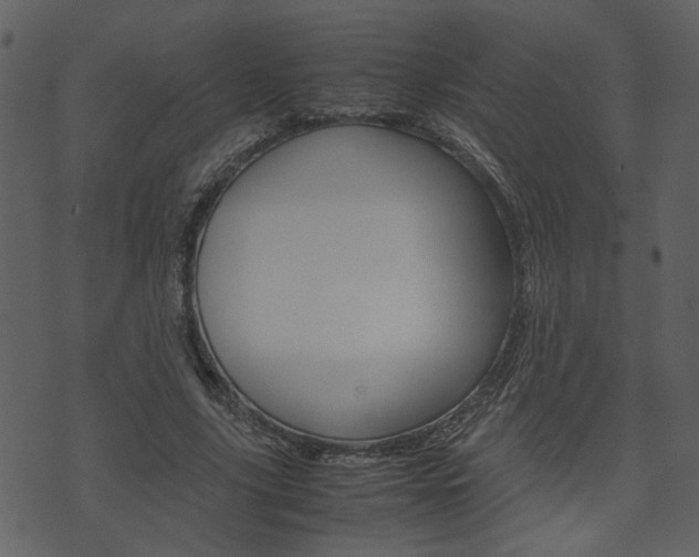 X0000074330635200608251021