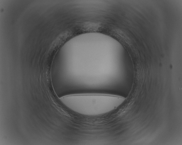 X0000074330641200608251021