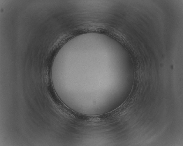 X0000074330642200608251021