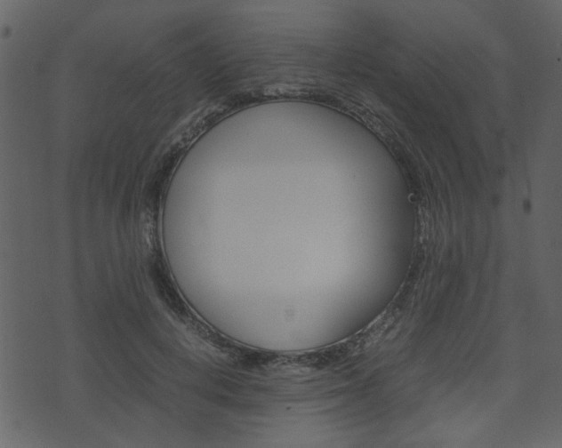 X0000074330648200608251021