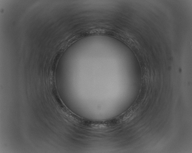 X0000074330649200608251021
