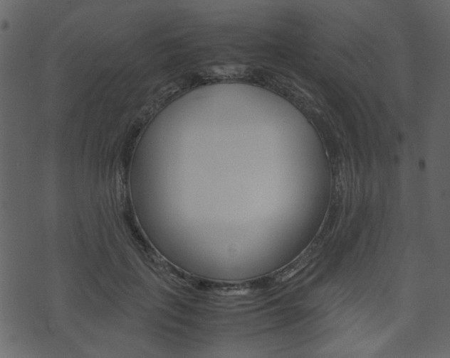 X0000074330651200608251021