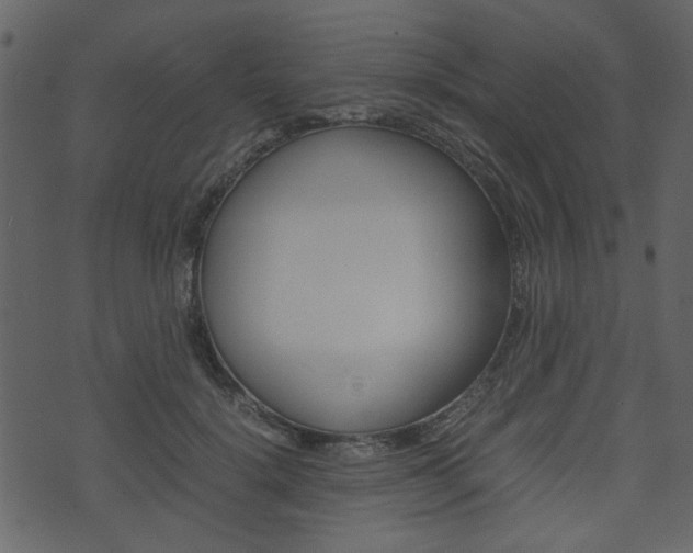 X0000074330652200608251021