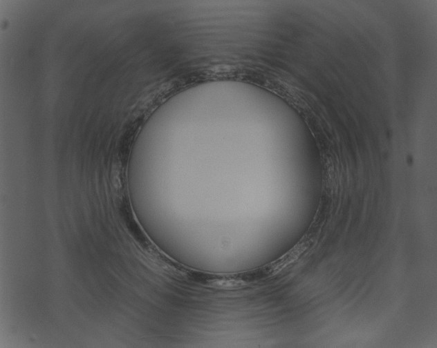 X0000074330654200608251021
