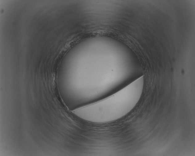 X0000074330660200608251021