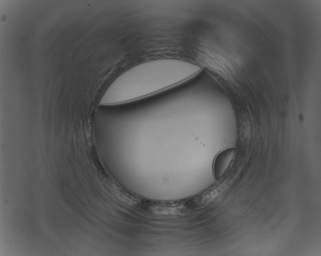 X0000074330661200608251021