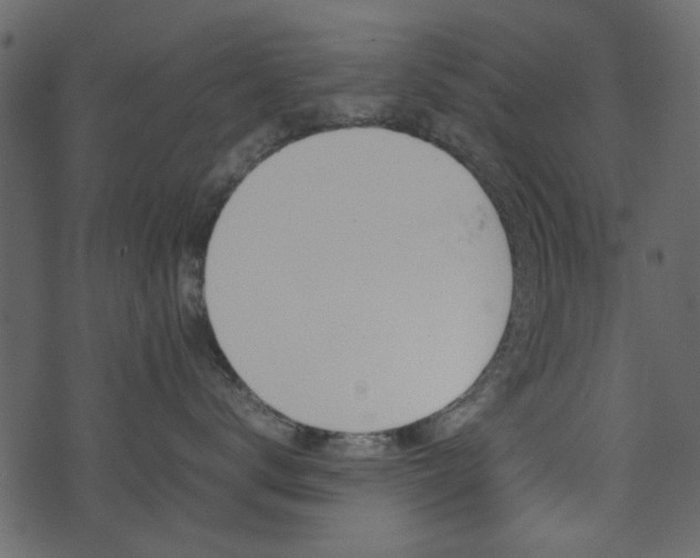 X0000074330672200608251022