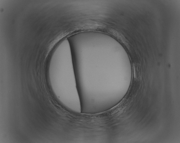 X0000074330675200608251021