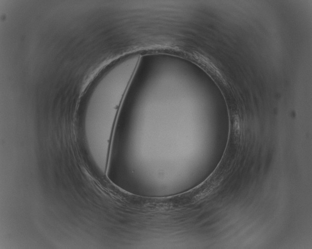 X0000074330676200608251021