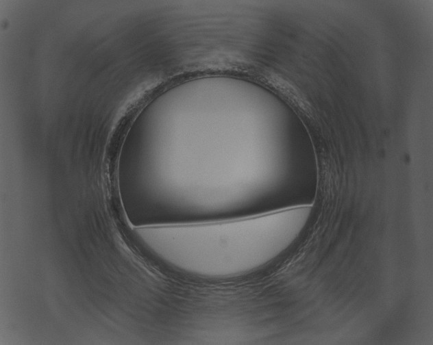 X0000074330680200608251021