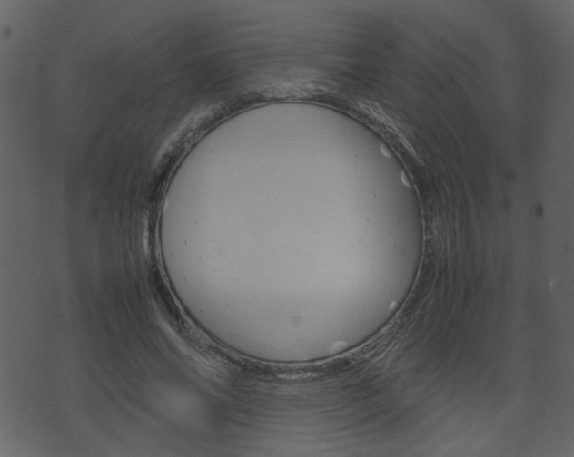 X0000074330686200608251021