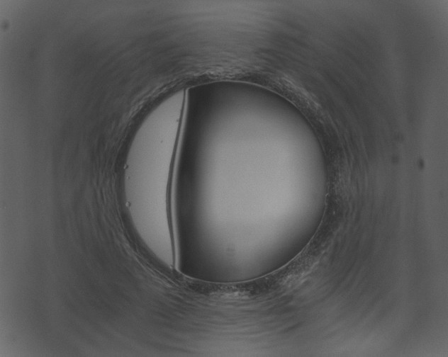 X0000074330689200608251021