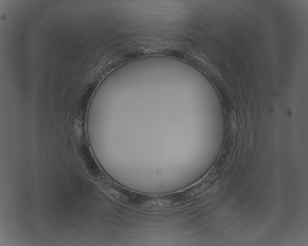 X0000074330691200608251020
