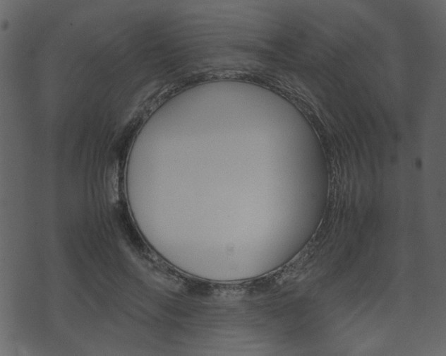 X0000074330694200608251020