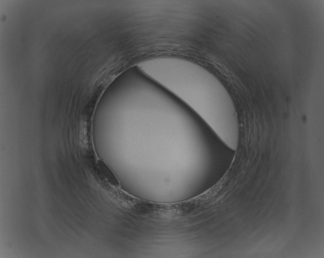 X0000074330696200608251020