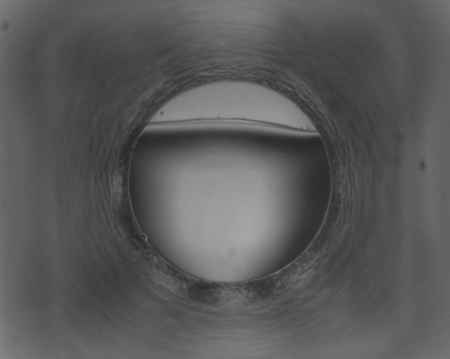 X0000074330697200608251020