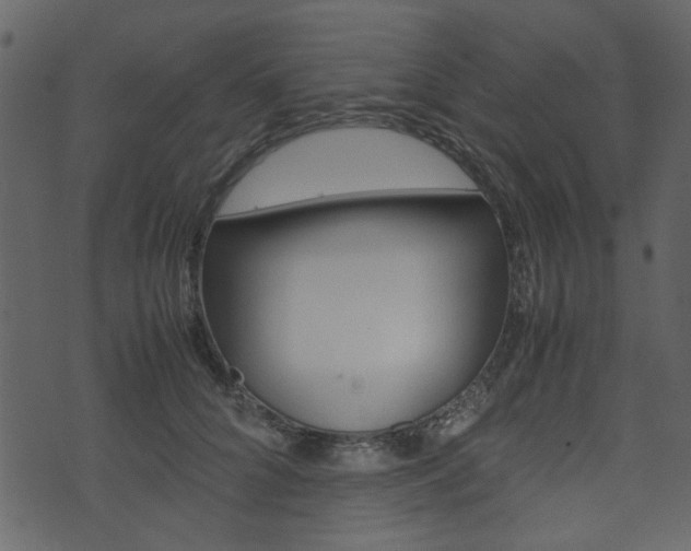 X0000074330704200608251020