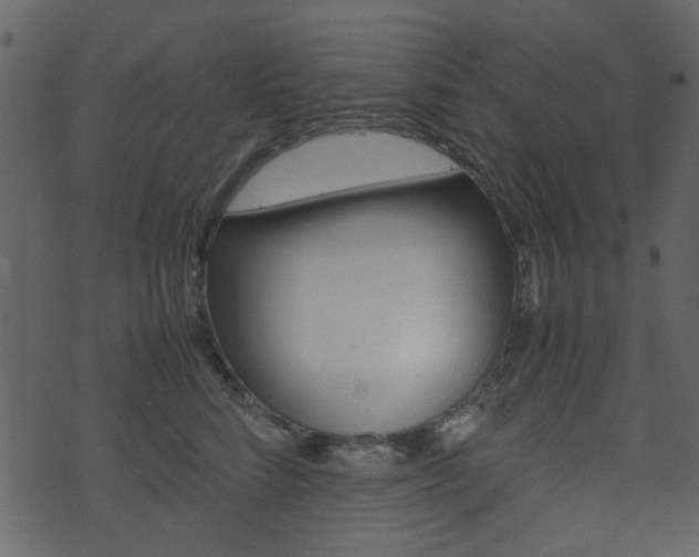 X0000074330712200608251020