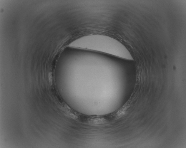 X0000074330716200608251020