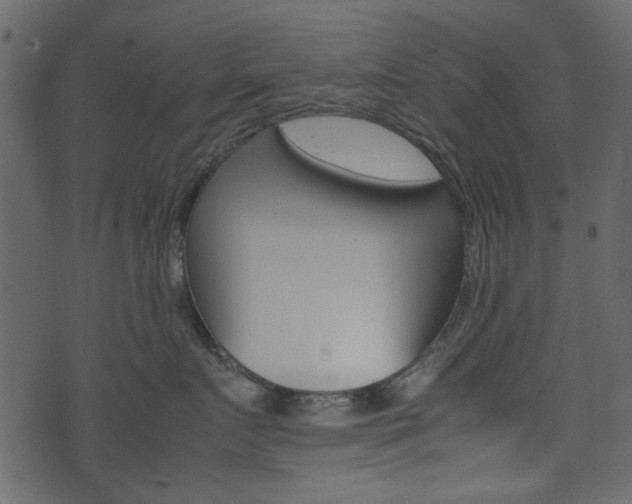 X0000074330719200608251020