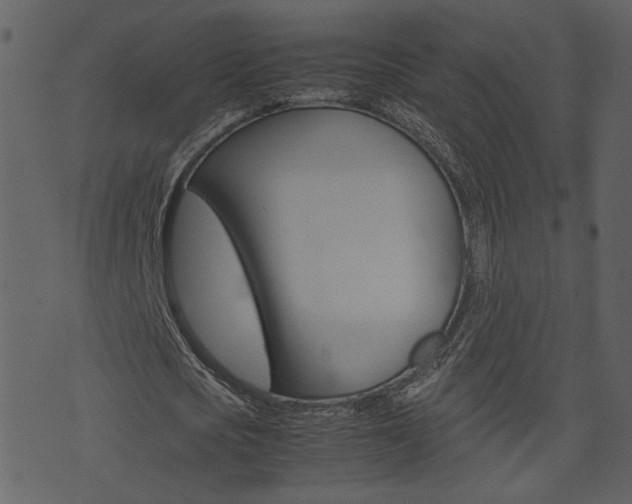 X0000074330721200608251019