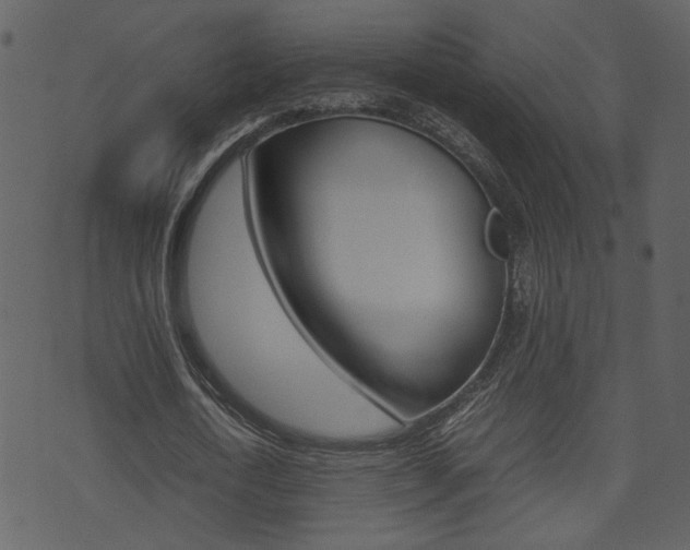 X0000074330722200608251019