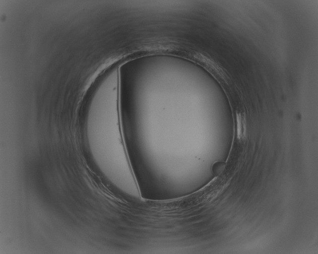 X0000074330723200608251019