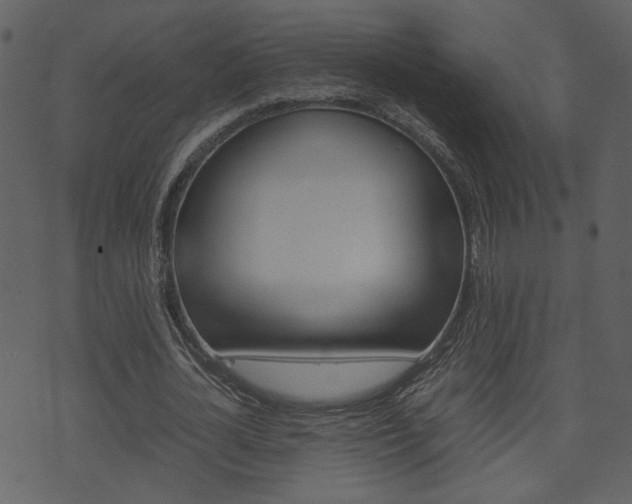 X0000074330724200608251019