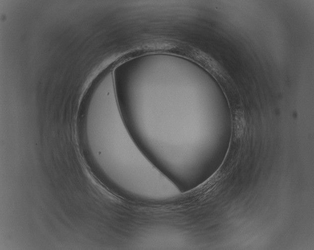 X0000074330726200608251019