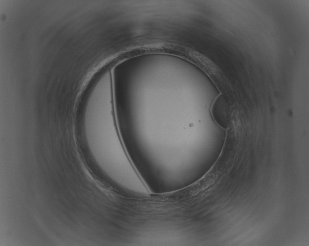 X0000074330728200608251019